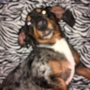 Meet your Posher, Kaite